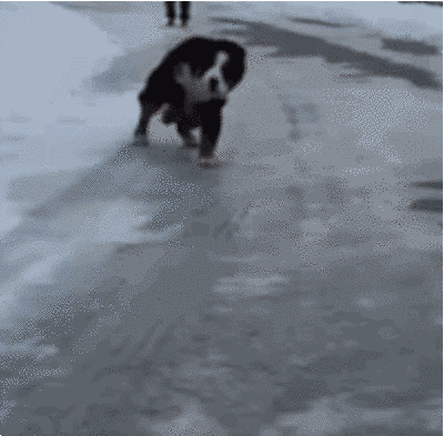 9 Irish people embodying the spirit of The Man Who Slipped on the Ice