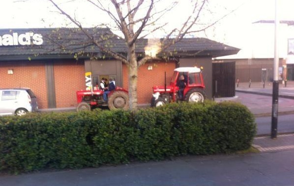 mcdsfarm