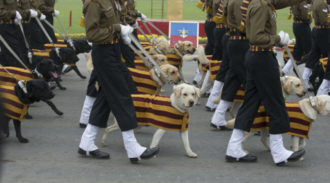 India Army Day