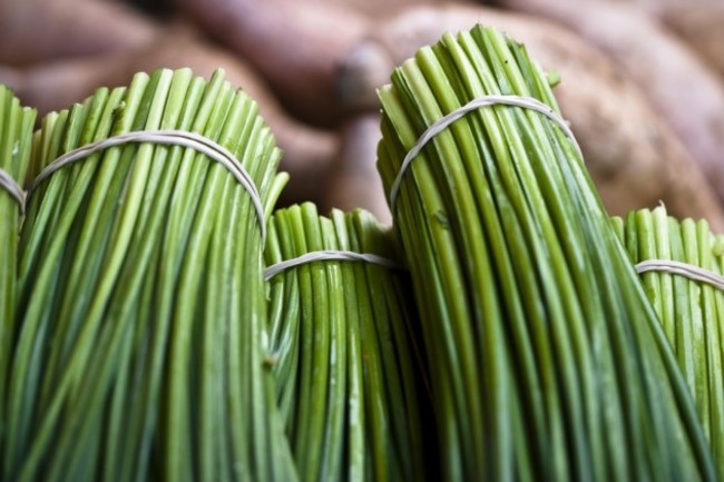 14-and-13-chives-and-endives