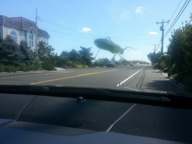 Tried to take a photo of a grasshopper on my windshield, but it looks like its giant and destroying the town