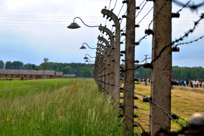 Auschwitz Stock - Poland