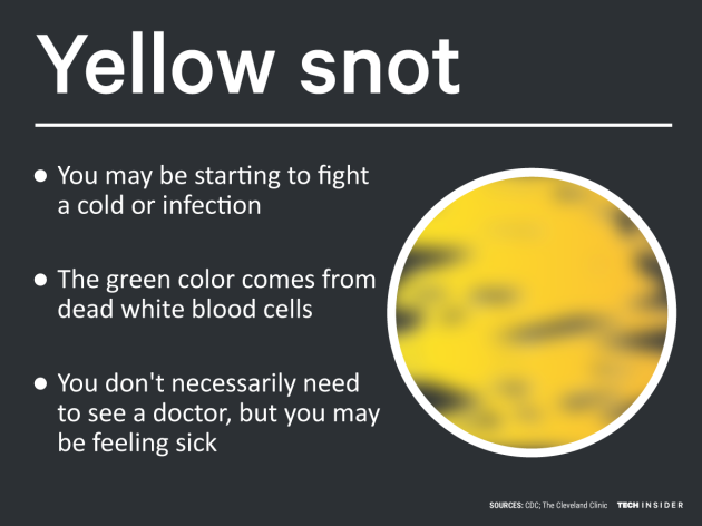 heres what the colour of your snot really means thejournalie