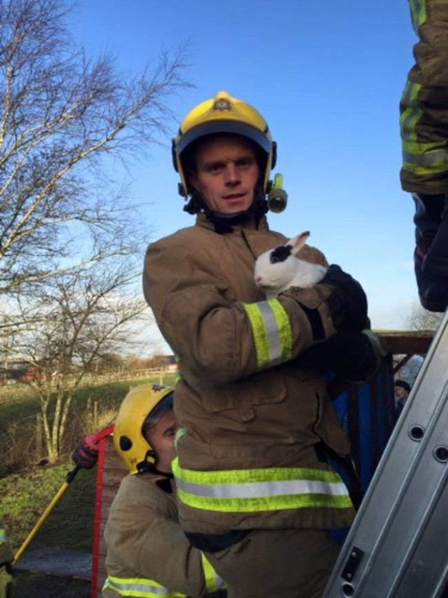 12573046_1064644770265286_5823042707323842836_n