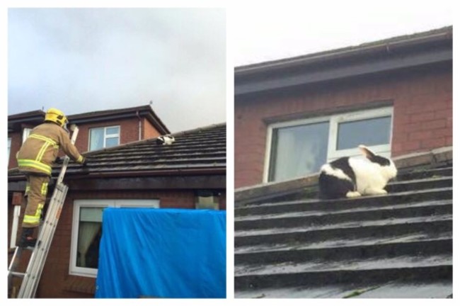 photo158120965215204013