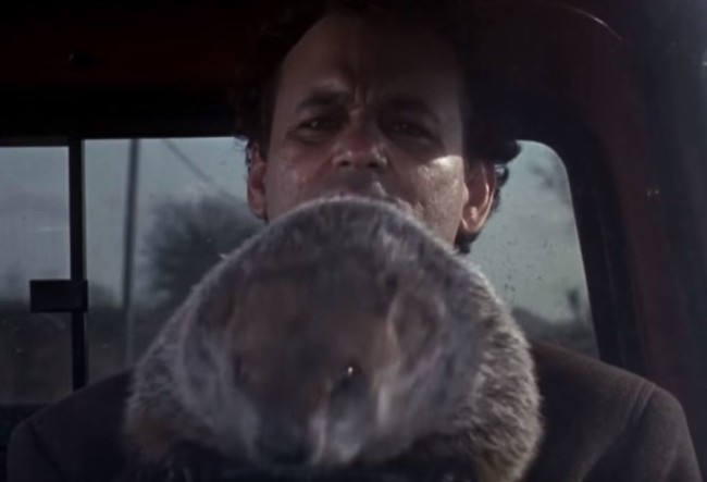 groundhog day