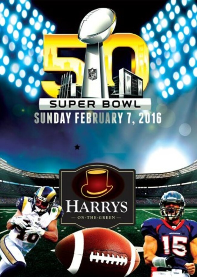Super Bowl 50 McGrattan