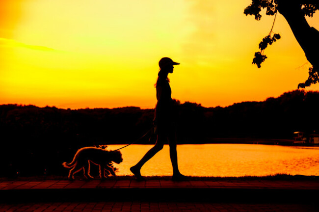 shutterstock_300117659
