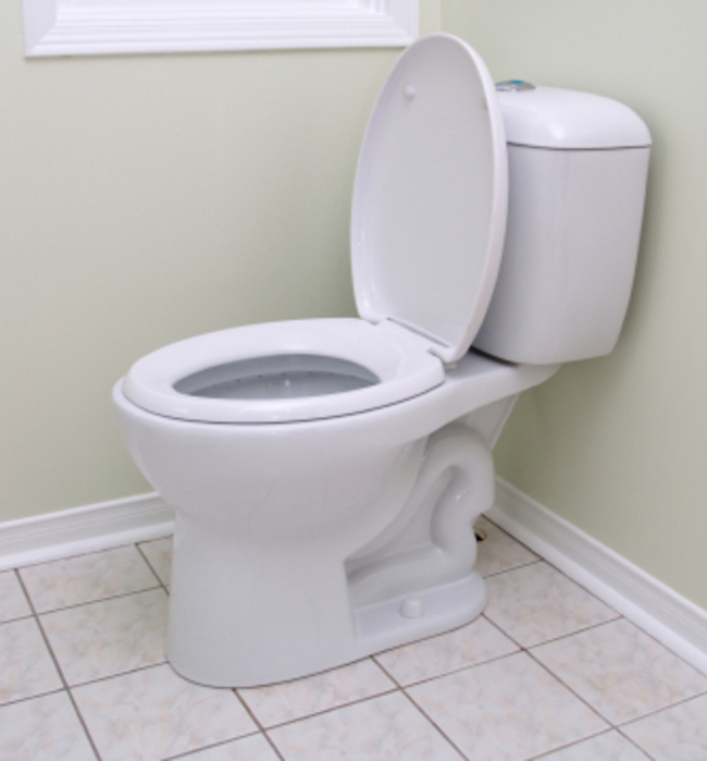 new toilet