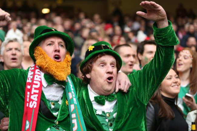 Irish fans at the match