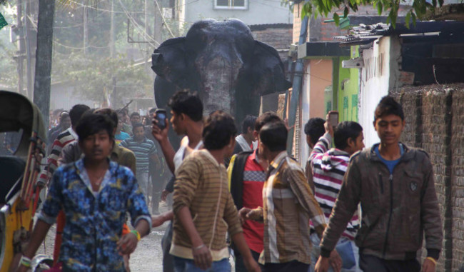 India Rampaging Elephant