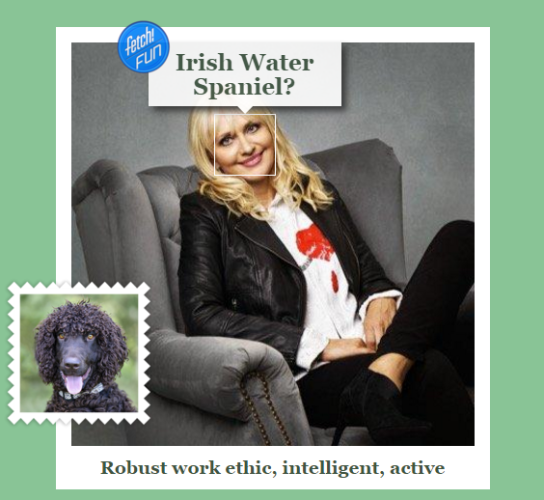 irish water spaniel