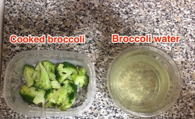 broccoli (1)