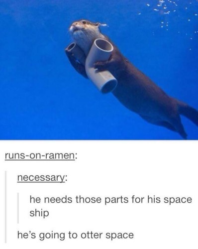 otterspace