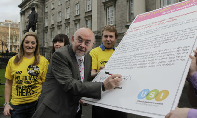 Irish general election