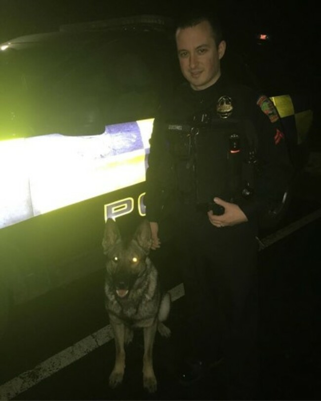 Hanging out with a new friend @chris_quesnel!!!!! #police #policek9 #policedog #newfriend #northfieldpd #germanshepherd #germansheperddaily #germanshepherdsofinstagram #gsd #dog #dogoftheday #dogsofinstagram #adopted #adopteddog #adoptdontshop #rescue #rescuedog #max #maximus #vt #vermont