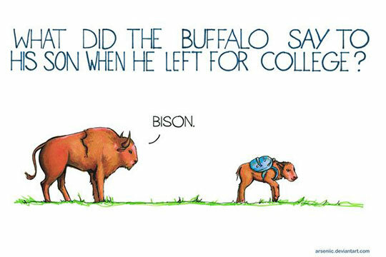 10 jokes for anyone who loves dad jokes · The Daily Edge