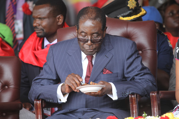 Zimbabwe Mugabe Birthday