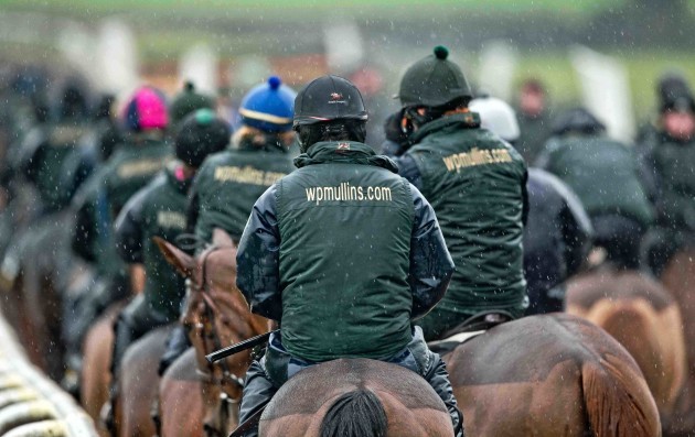 A view of Willie Mullins string of Cheltenham horses on the gallops