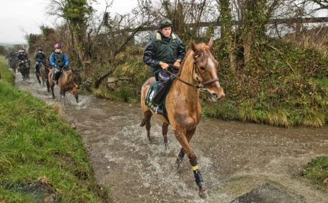 Annie Power on the gallops