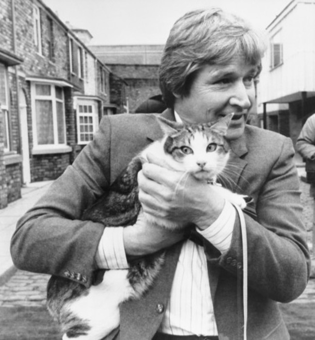 Entertainment - Coronation Street - Frisky the tortoiseshell tomcat and William Roache - Granada Television - Manchester