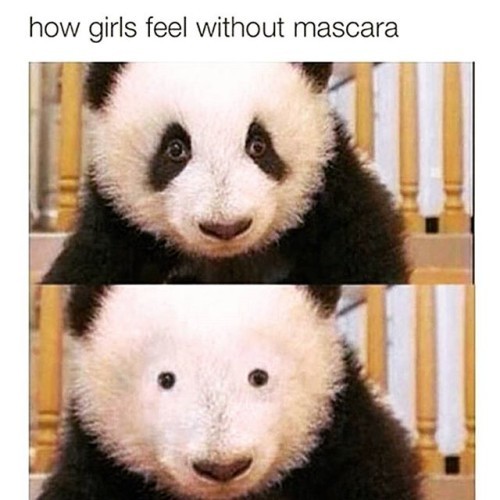 Truth #mascaraproblems #panda #word #makeup #makeupartist #makeuplove #beauty #beautyfix #bblogger #beautyblogger #mascara #folk #dubaimakeupartist #dubaimua #mua #dxbmua #lamua #losangeles #instaglam #instalove #instamakeup #instalike #mydubai #followme #fresh #lashes #eyes #nisrinedaou