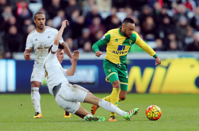 Swansea City v Norwich City - Barclays Premier League - Liberty Stadium