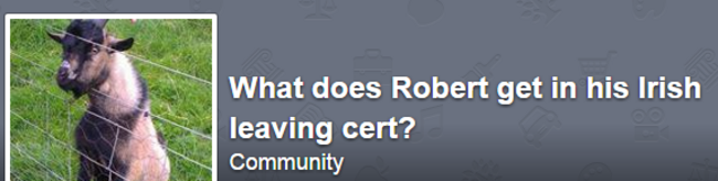 rob