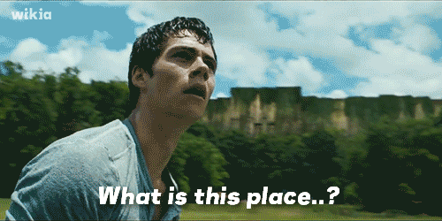 maze-runner-what-is-this-place