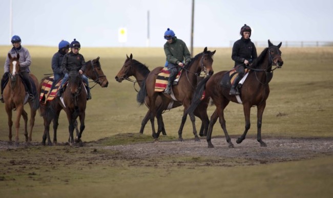 RACE HORSES ON THE CURRAGH LR 9533