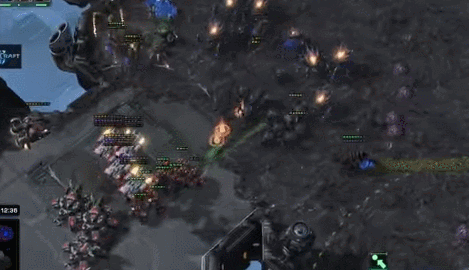 starcraft
