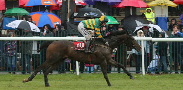 Horse Racing - Punchestown Festival 2015 - The AES Festival Family Day - Punchestown Racecourse