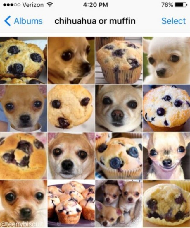 chihua