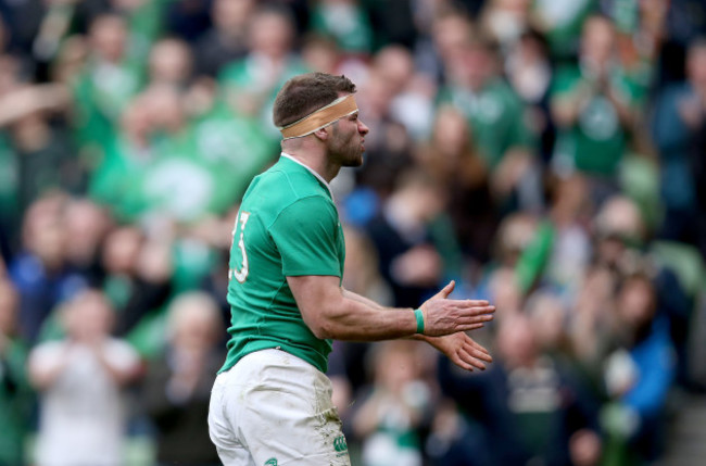 Fergus McFadden celebrates his try