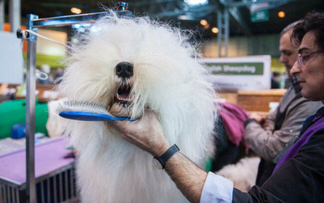 Crufts 2016