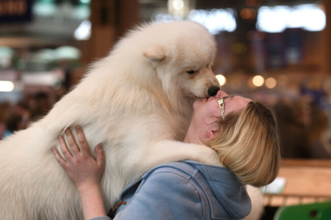 Crufts 2016