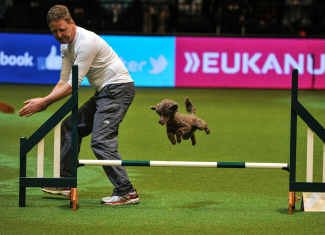 Crufts 2016