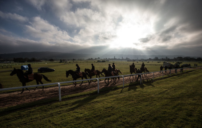 Gordon Elliott's horses out on the gallops this morning