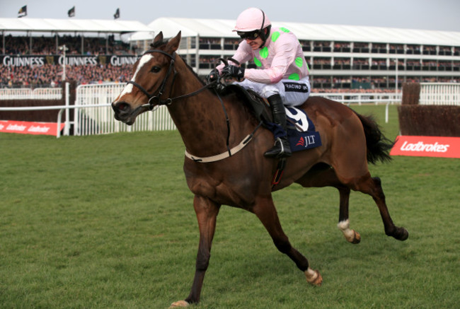 Horse Racing - 2015 Cheltenham Festival - St Patrick's Day - Cheltenham Racecourse