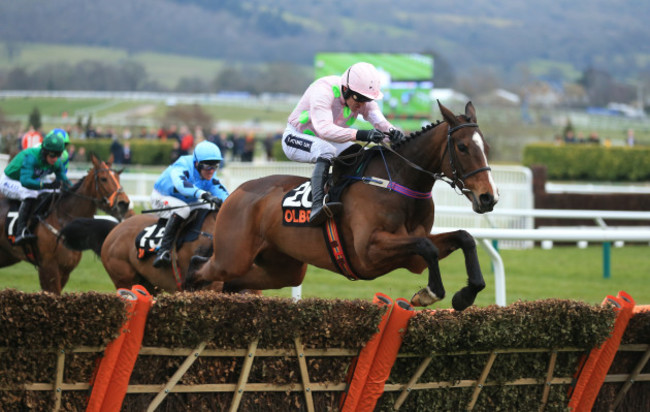 2016 Cheltenham Festival - Champion Day - Cheltenham Racecourse