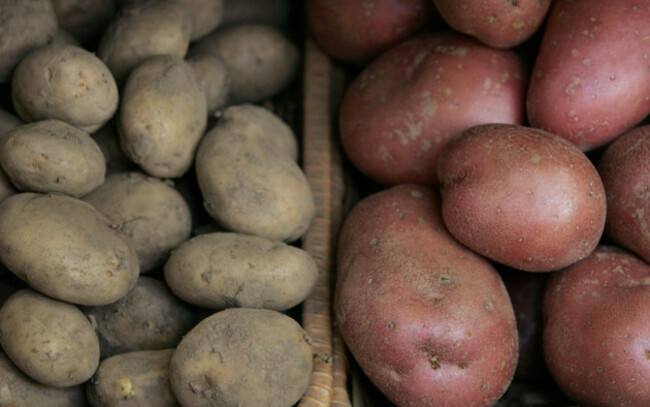 26/7/2012 Irish Agriculture Industry