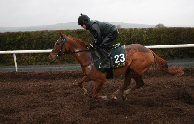 Willie Mullins Stable Visit - Closutton