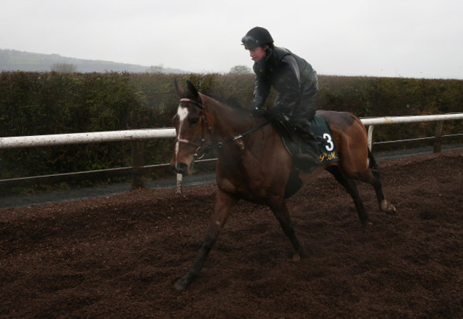 Willie Mullins Stable Visit - Closutton