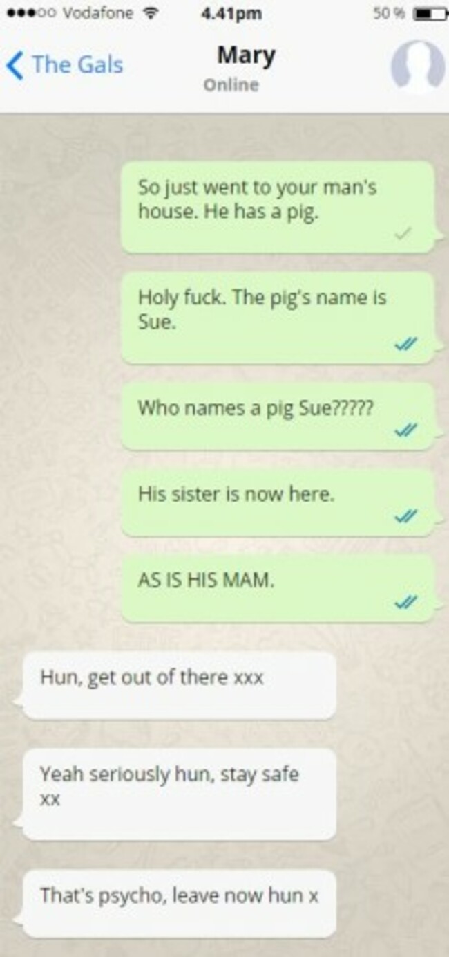 pig