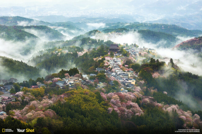 Circle of fog