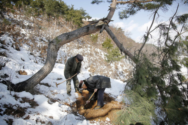 North Korea Forsaken Remains