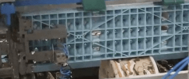 GIF 2