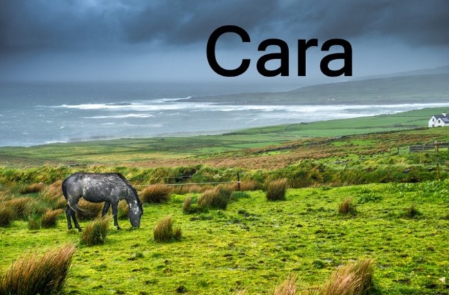 cara