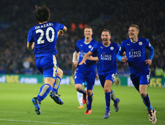 Leicester City v Newcastle United - Barclays Premier League - King Power Stadium