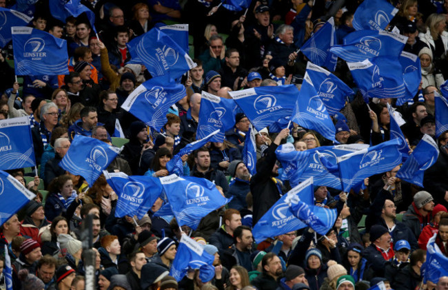 Leinster fans